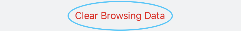 The Clear Browsing Data button, tapping it will actually delete what you have selected to be deleted