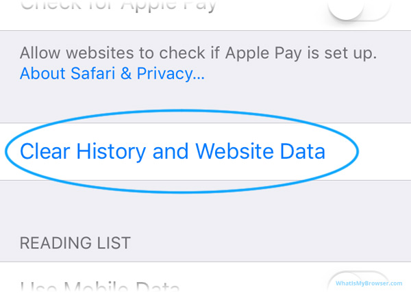 Screenshot of Safari's settings, highlighting the Clear History... item