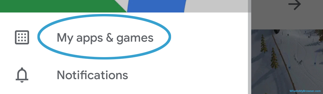 Screenshot of the Home Screen, highlighting the Play Store app icon