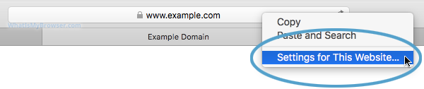 Safari's Address Bar, showing the Settings for This Website option