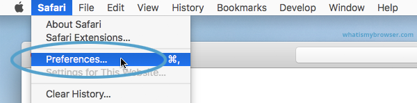 The expanded Safari menu, showing the the Preferences item