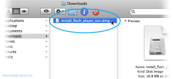 adobe flash player update for mac os x 10.5 8