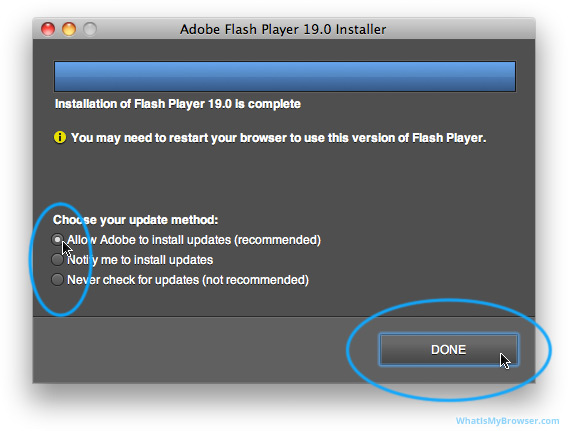 turn on flash player for my mac