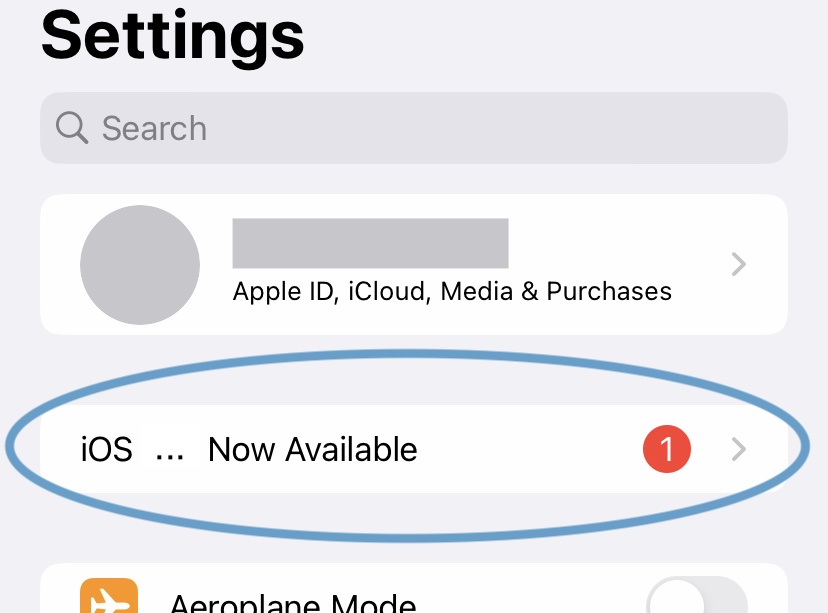 The Settings app showing the latest version number of iOS that's available
