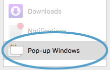 The Websites settings side-menu, showing the Pop-up Windows item